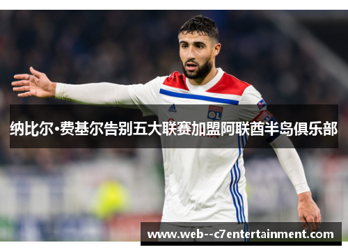 纳比尔·费基尔告别五大联赛加盟阿联酋半岛俱乐部 纳比尔·费基尔告别五大联赛加盟阿联酋半岛俱乐部